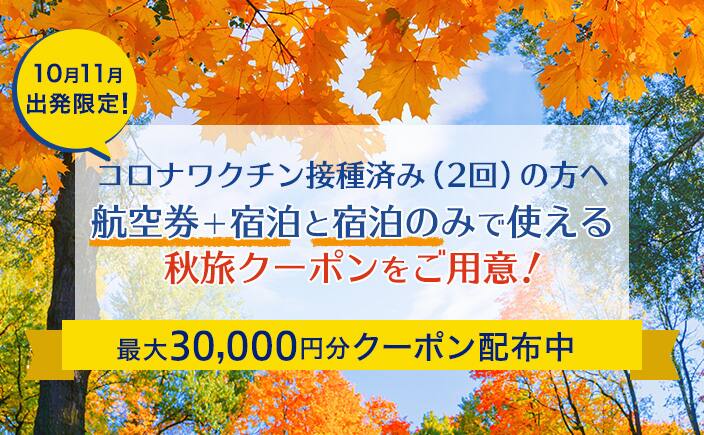 国内ダイナミックパッケージ 国内航空券 宿泊 Ana