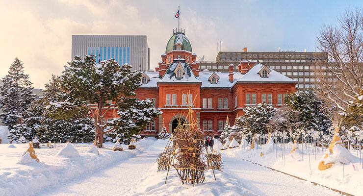 さぁ サッポロ冬割 北海道旅行 ツアー Ana