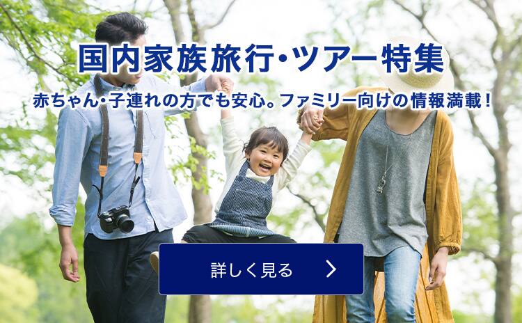 Anaの北海道旅行 ツアー 飛行機で行くマイルが貯まるおすすめプラン 北海道旅行 ツアー Ana Anaの北海道旅行 ツアー 飛行機で行くマイルが貯まるおすすめプラン 北海道旅行 ツアー Ana