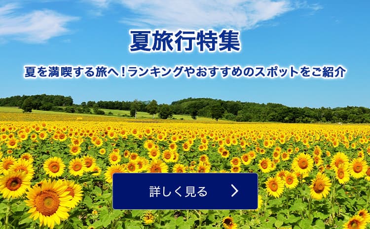 Anaの北海道旅行 ツアー 飛行機で行くマイルが貯まるおすすめプラン 北海道旅行 ツアー Ana