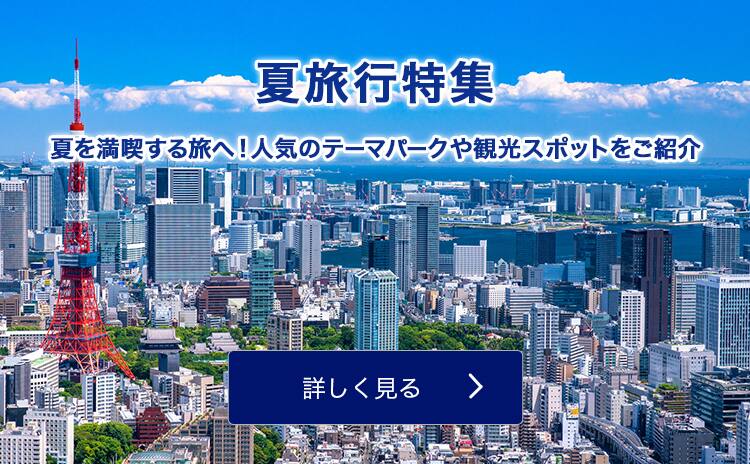 Anaの東京 横浜旅行 ツアー 飛行機で行くマイルが貯まるおすすめプラン 東京 横浜旅行 ツアー Ana