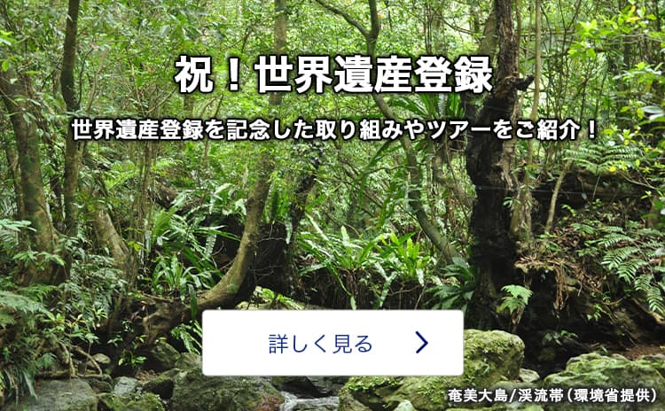 Anaの九州旅行 ツアー 飛行機で行くマイルが貯まるおすすめプラン 九州旅行 ツアー Ana