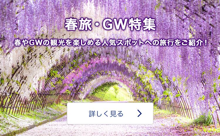 Anaの九州旅行 ツアー 飛行機で行くマイルが貯まるおすすめプラン 九州旅行 ツアー Ana