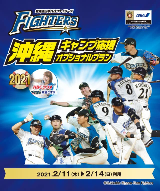 北海道日本ハムファイターズ沖縄キャンプ応援オプショナルプラン 沖縄ツアー Ana