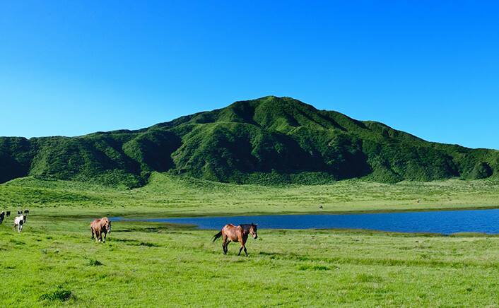 Anaトラベラーズ パッケージツアー 国内パッケージツアー Ana