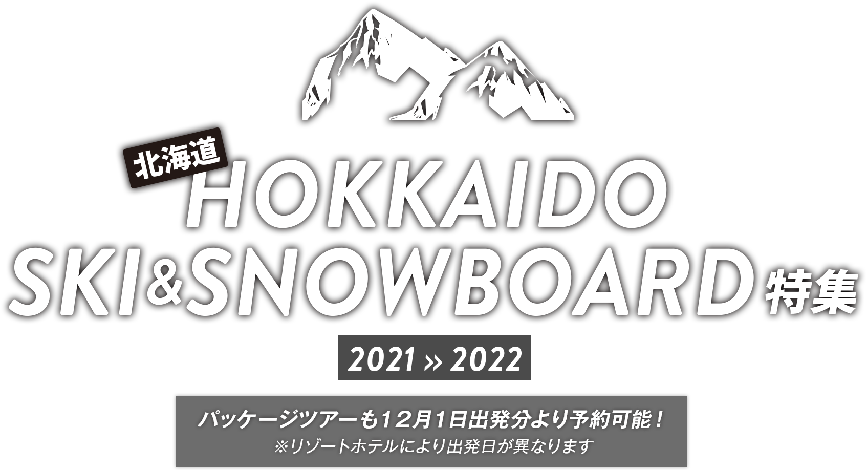 Anaの北海道スキーツアー スノボツアー 人気ゲレンデに飛行機で Ana