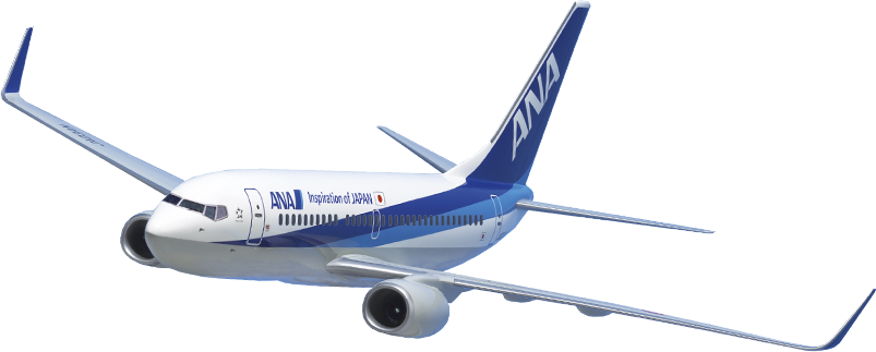 B737 700退役記念チャーターフライト 国内ツアー Ana