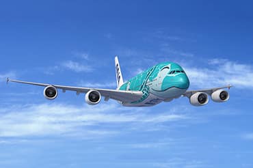 Ana チャーターイベント特集 国内ツアー Ana