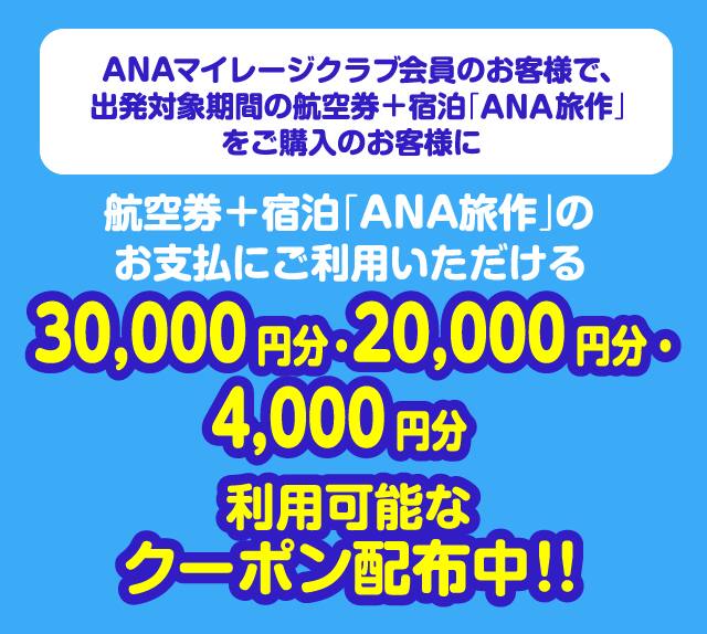 選んでおトク 2019冬旅キャンペーン 対象者限定 国内ツアー Ana