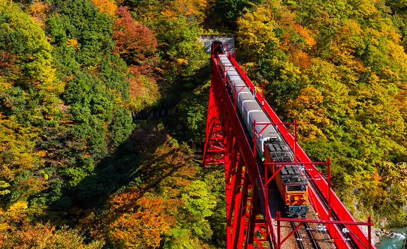 秋の黒部峡谷の紅葉 温泉を巡るトロッコ電車からの風景 Ana