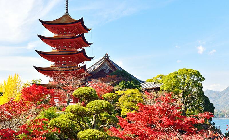 宮島は紅葉も有名 秋の厳島神社と紅葉谷公園で自然を感じる Ana