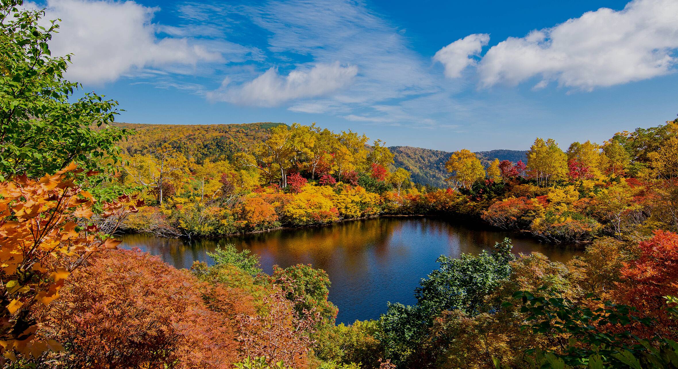 秋旅行特集21 国内ツアー Ana