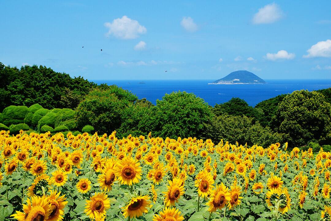 旅するスヌーピー 夏 国内ツアー Anaトラベラーズ