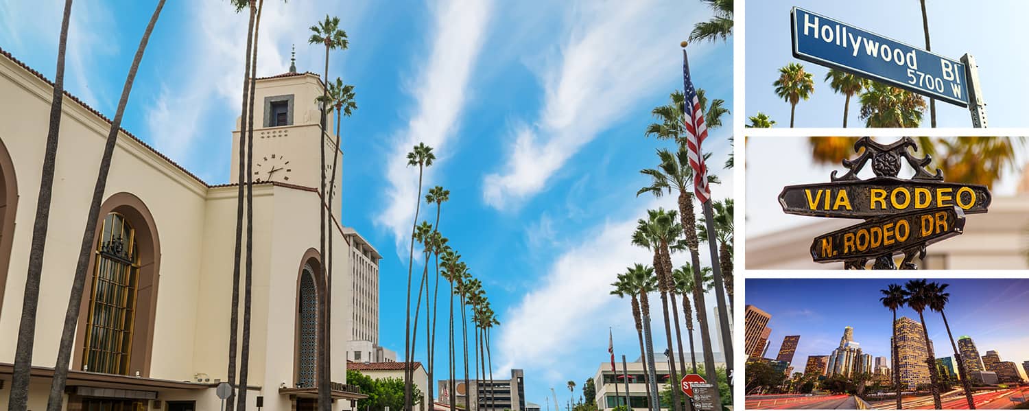 Ana Flights To Los Angeles North America