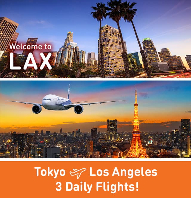 Ana Flights To Los Angeles North America