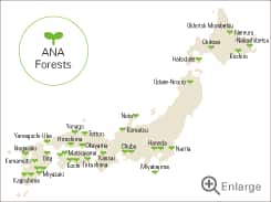Forests planted near 50 airports in Japan