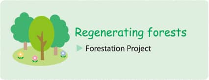 Regenerating forests