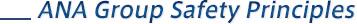 ANA Group Safety Principles