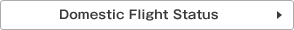 Domestic Flight Status