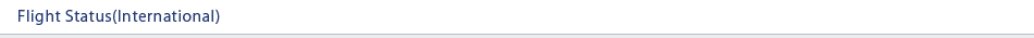 Flight Status(International)