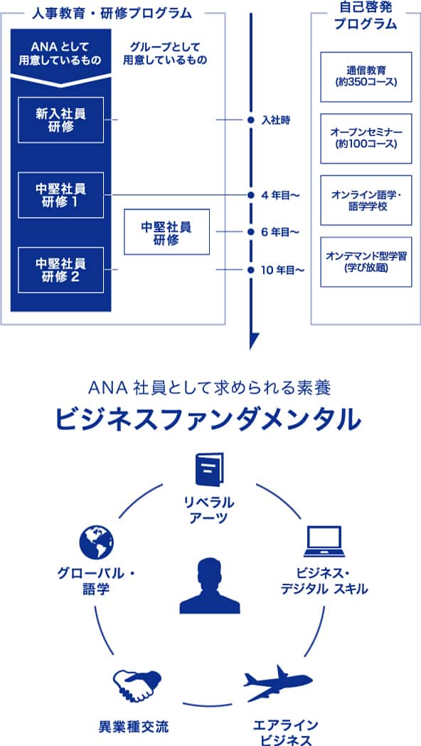 人事教育・研修プログラムは、ANAとして用意しているプログラムと、グループ全体で用意しているプログラムがあります。その他にも、自己啓発プログラムとして通信教育や語学学校の優待利用等を用意しています。また、ANA社員として求められる素養としてビジネスファンダメンタルのプログラムを定めており、様々な文化・習慣・価値観などを理解し、能力を発揮できる人財を育成しています。