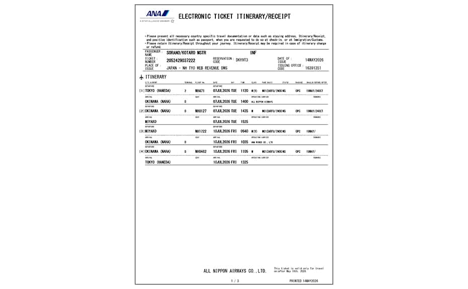e-ticket itinerary/receipt for infants