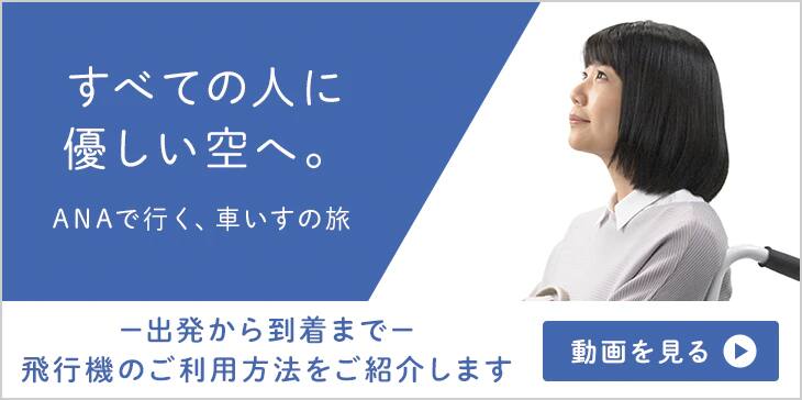 すべての人に優しい空へ。ANAで行く、車いすの旅。出発から到着までの、飛行機のご利用方法を動画でご紹介します。動画を見る。