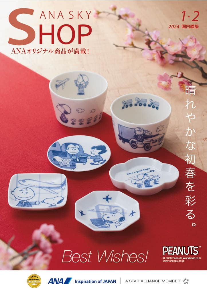 ANA 普通席 ショッピング国内線ANA