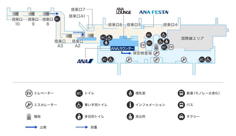 MAP画像