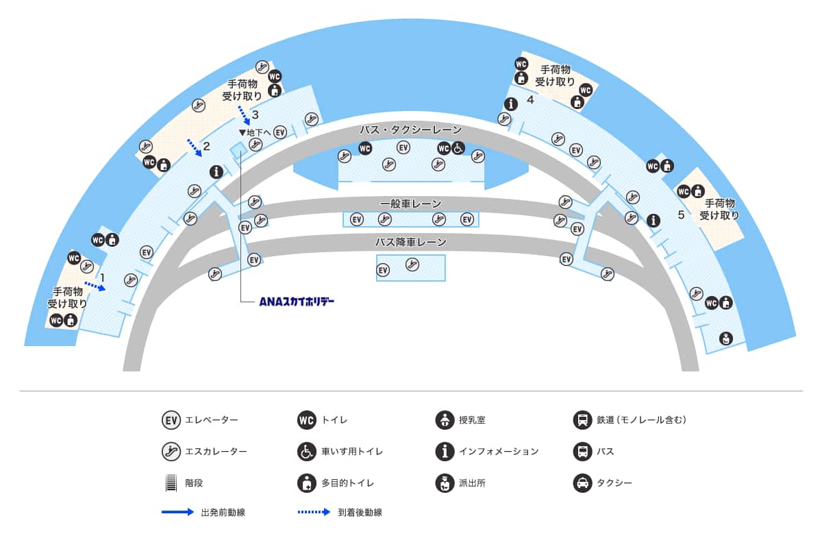 MAP画像