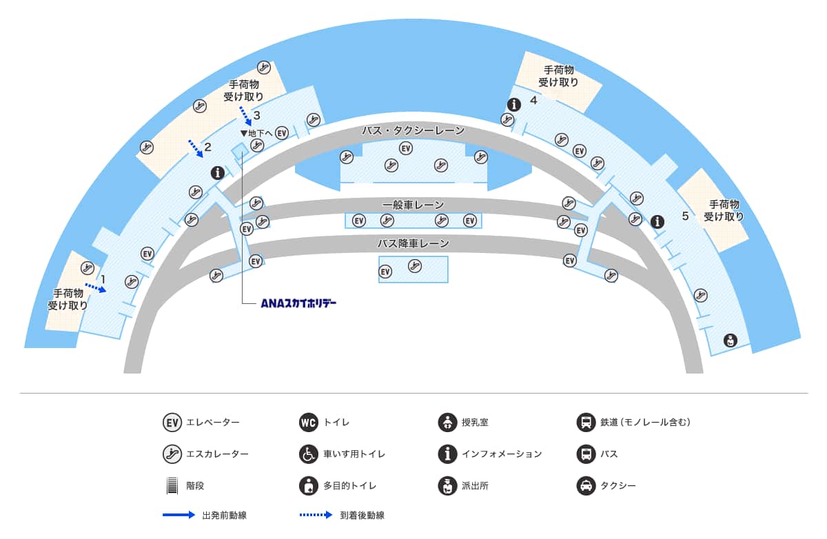 MAP画像