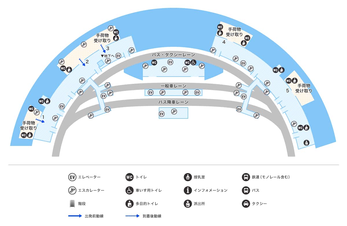 MAP画像