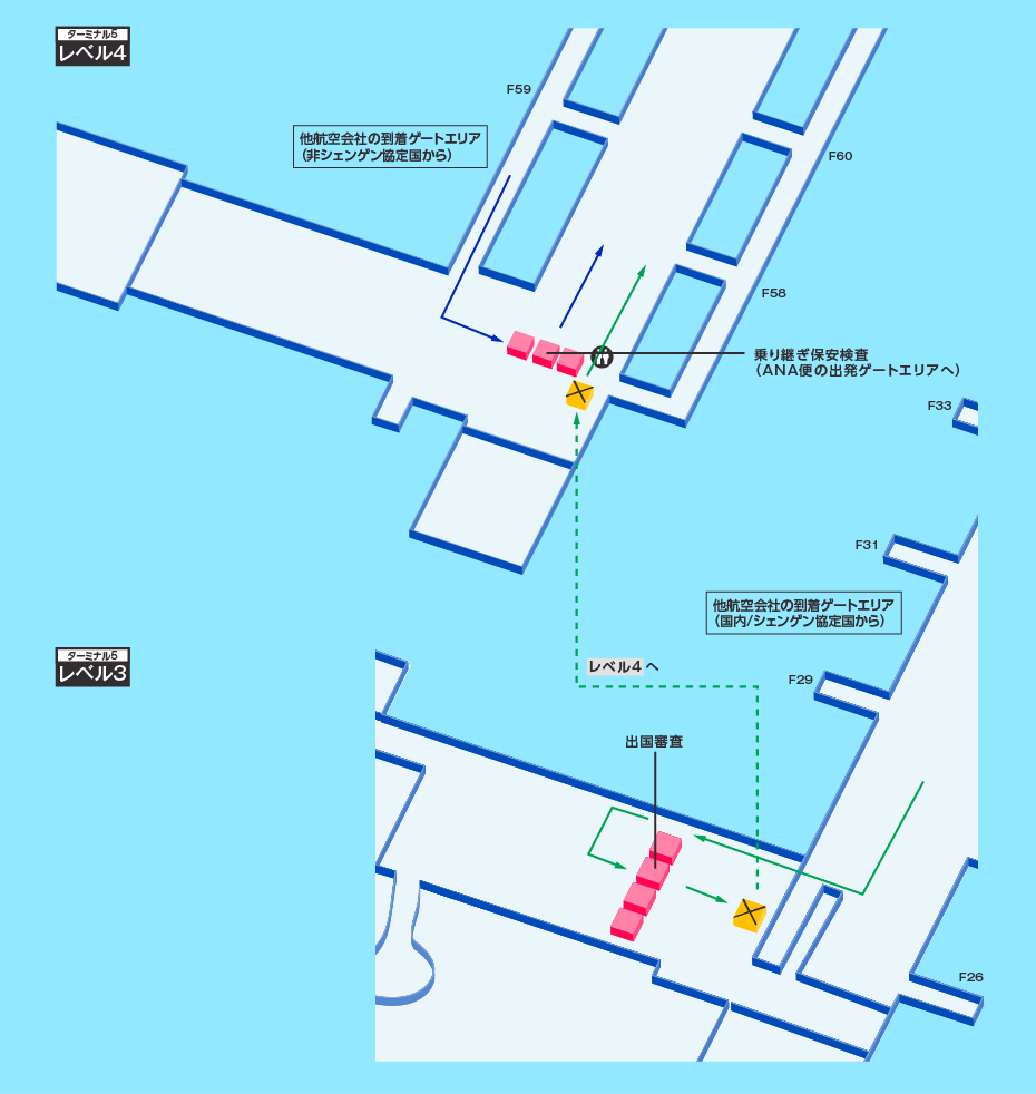 MAP画像