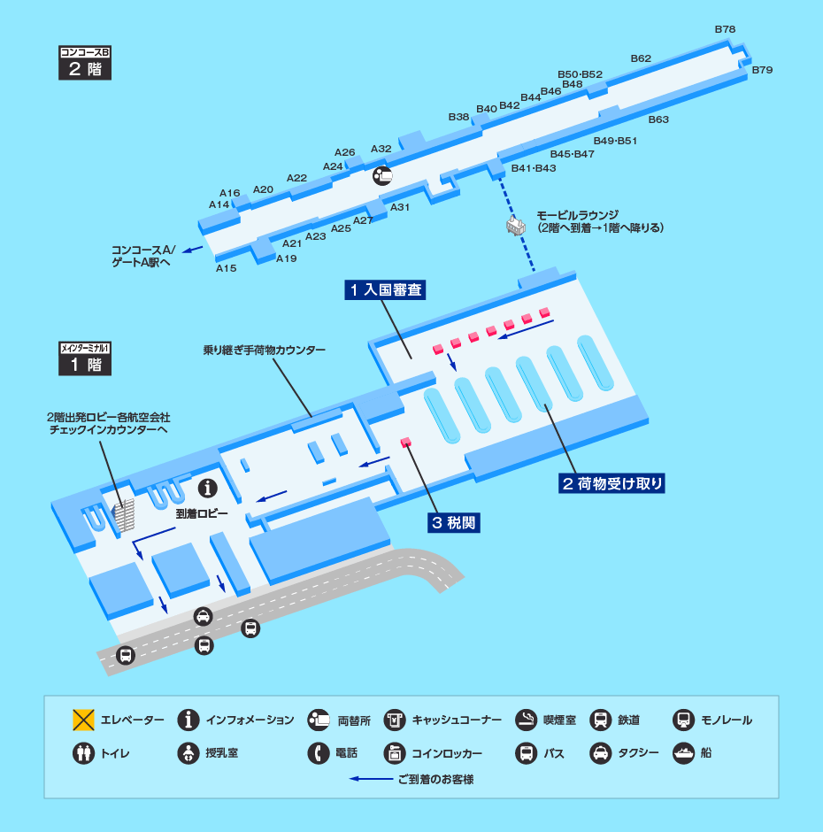 MAP画像