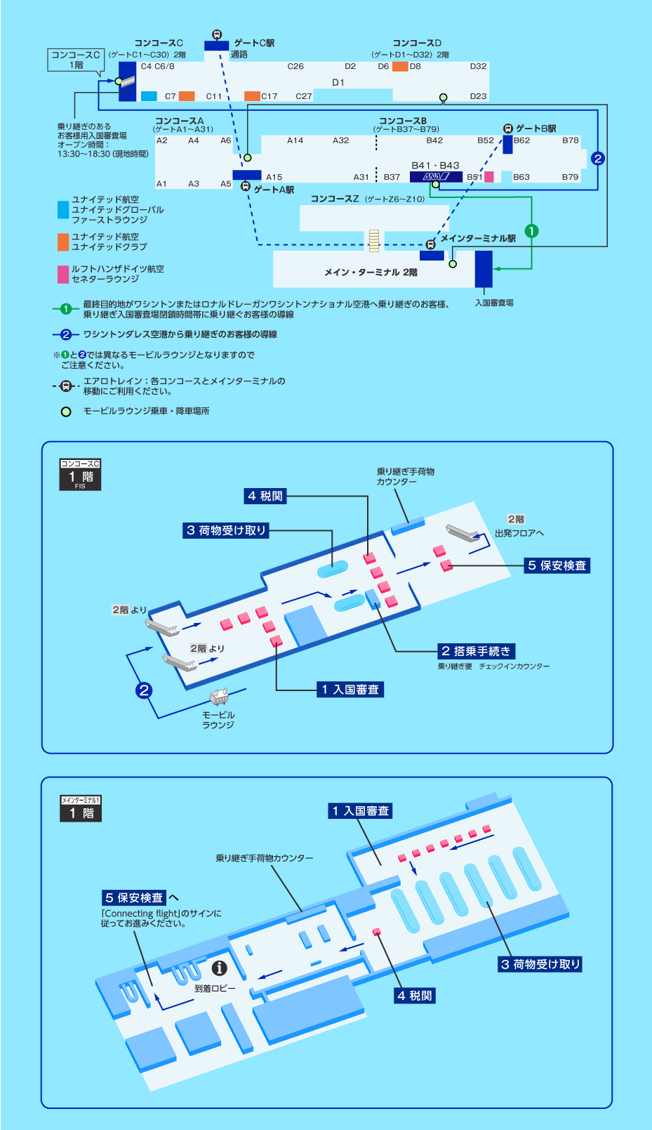 MAP画像