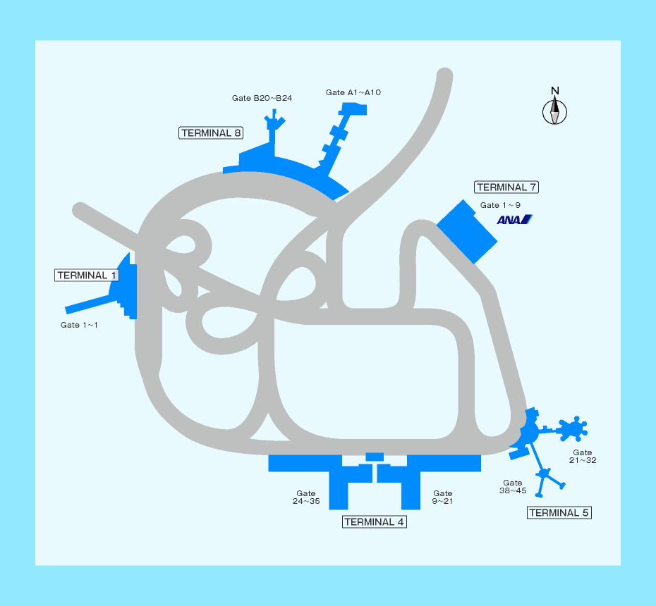 MAP画像