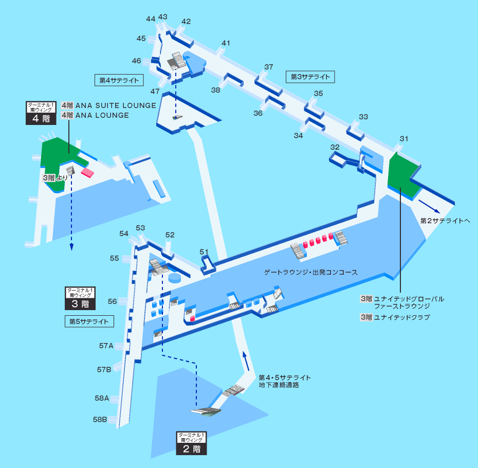 MAP画像