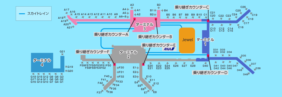 MAP画像