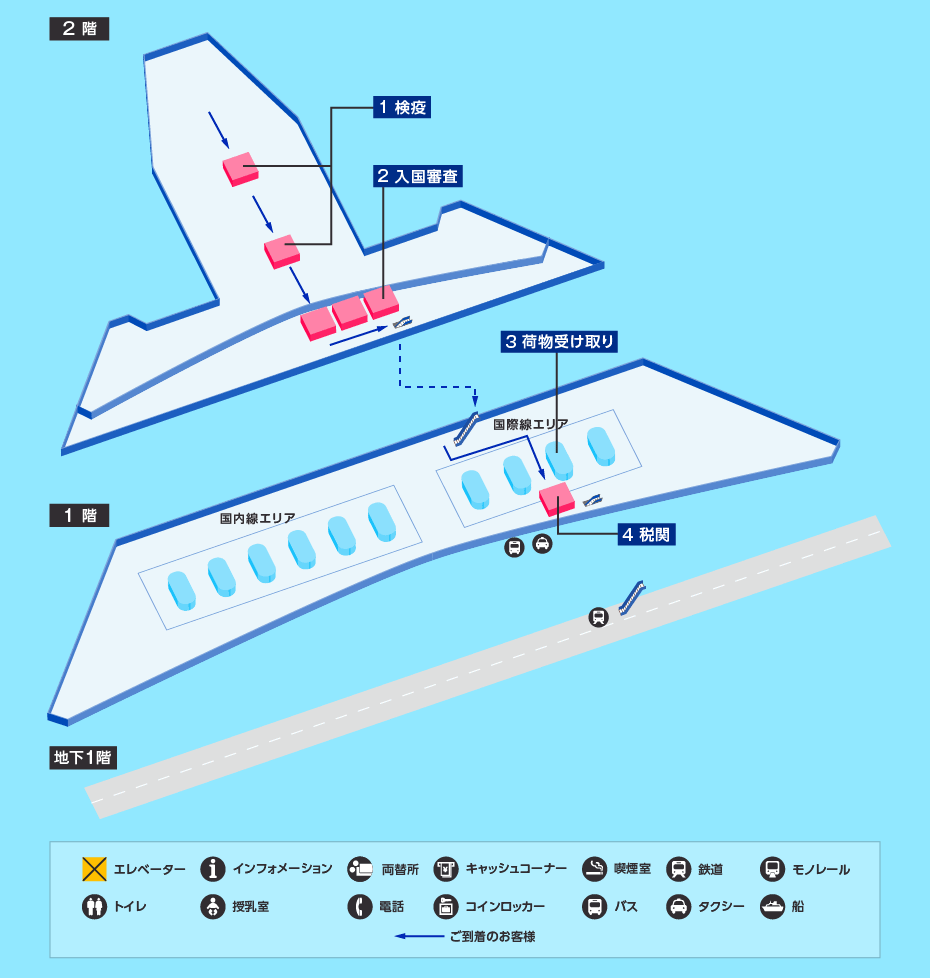 MAP画像