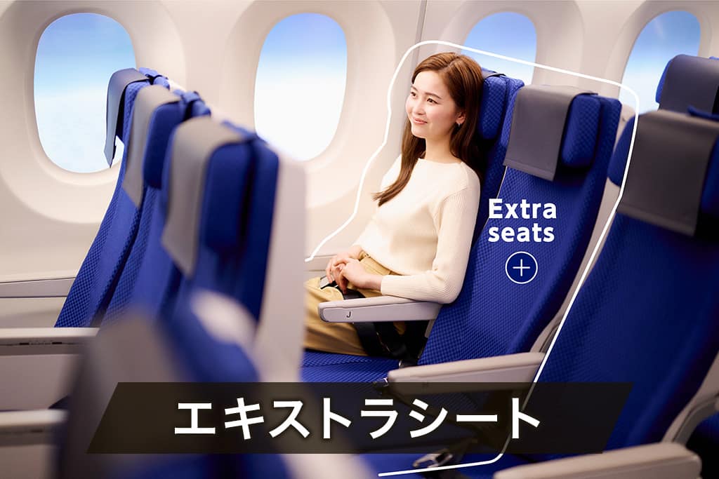 エキストラシート