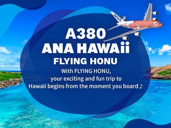 A380 ANA HAWAii FLYING HONU. With FLYING HONU, your exciting and fun trip to Hawaii begins from the moment you board.