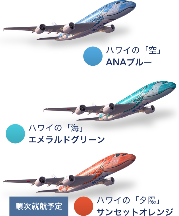 新しいa380型機 Flying Honu フライングホヌ で変わるanaのハワイ