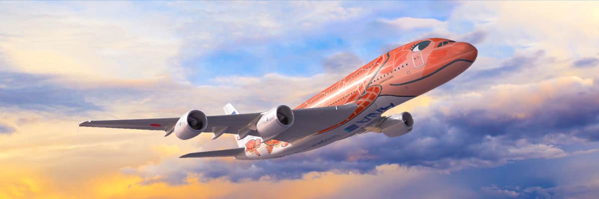 新しいa380型機 Flying Honu フライングホヌ で変わるanaのハワイ
