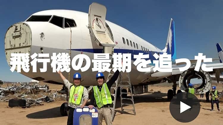  ANA公式YouTubeへのリンク画像