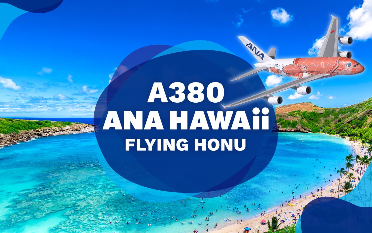 FLYING HONU（フライングホヌ） 成田ーホノルル間定期運航情報|ANA