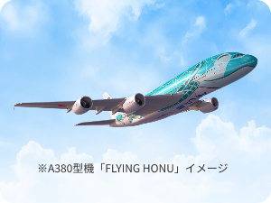 ※A380型機「FLYING HONU」イメージ