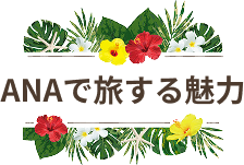 ANAで旅する魅力
