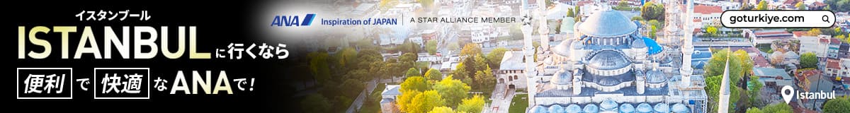 ISTANBULに行くなら便利で快適なANAで！