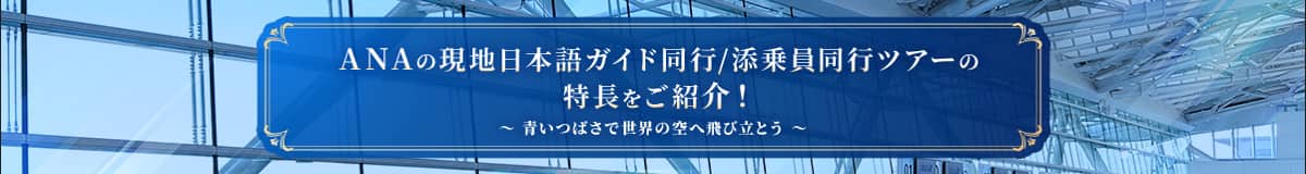 現地日本語ガイド同行/添乗員同行ツアーの特長をご紹介！ 青い翼で世界の空へ飛び立とう
