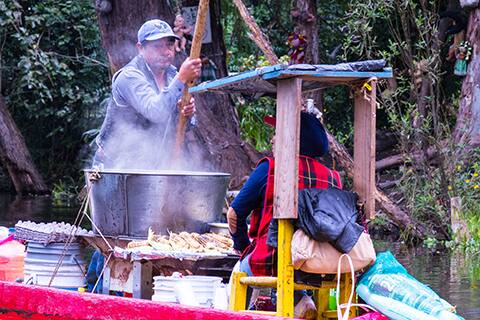 ソチミルコ 新規就航 成田とメキシコシティを結ぶ直行便 旅情報サイト 国際線 Ana